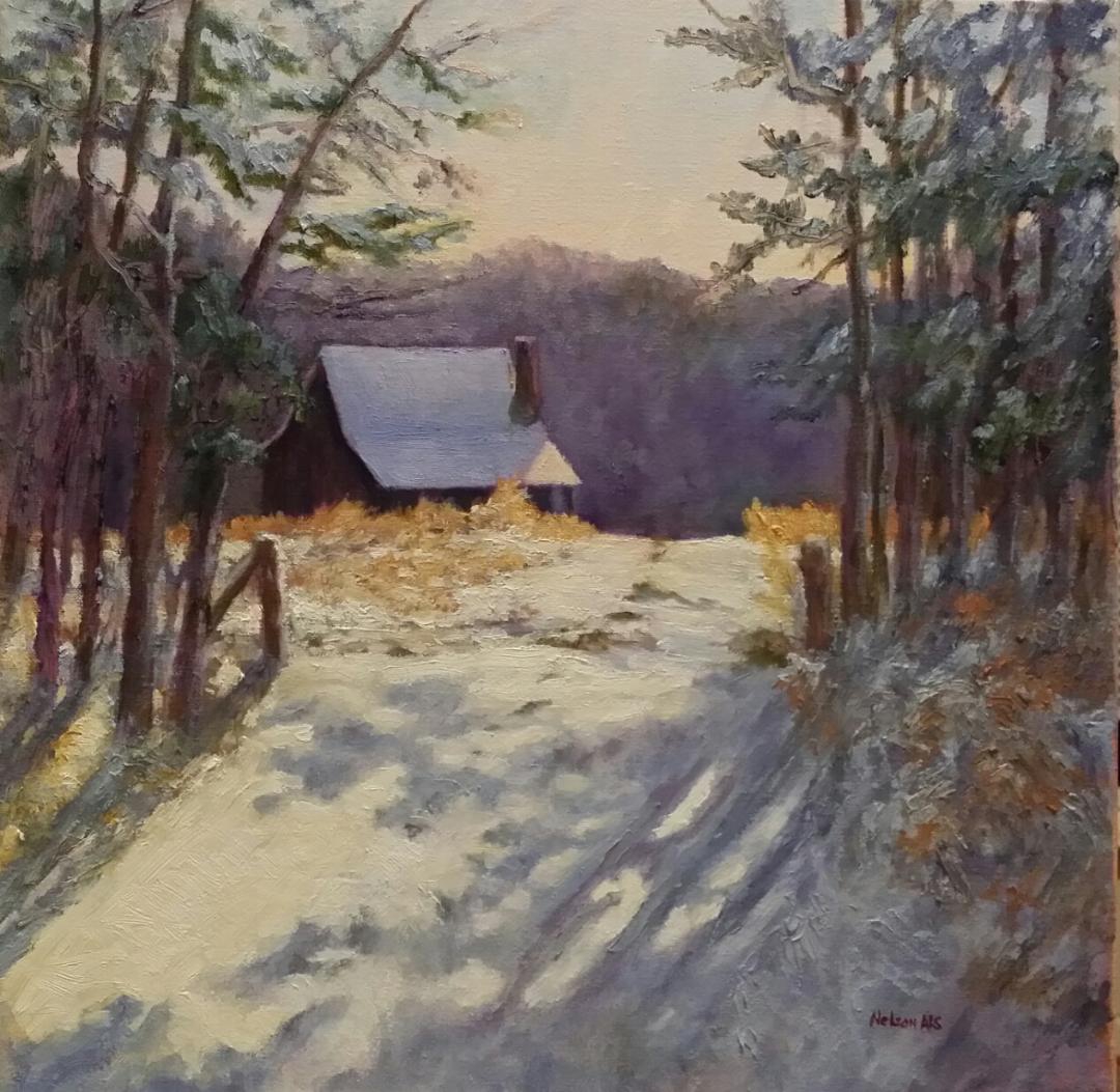 Snow Southern Style by Sharon Nelson