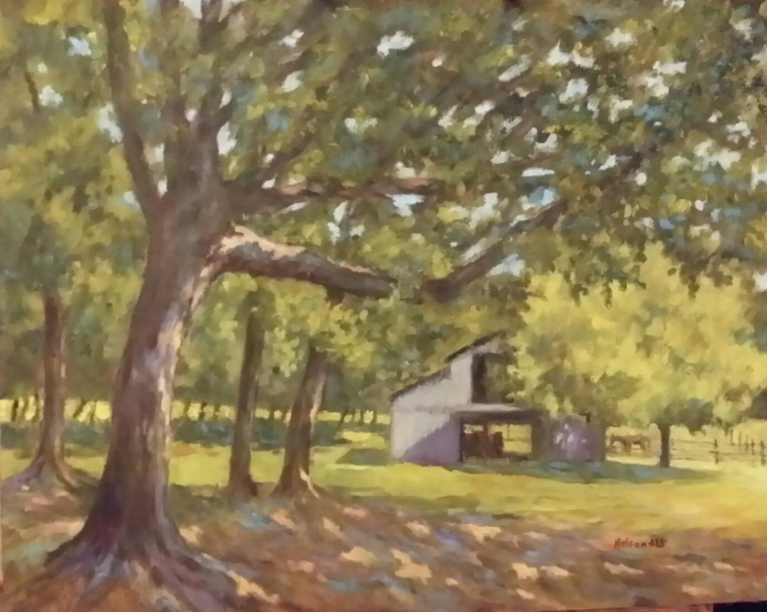 Dillon's Home by Sharon Nelson