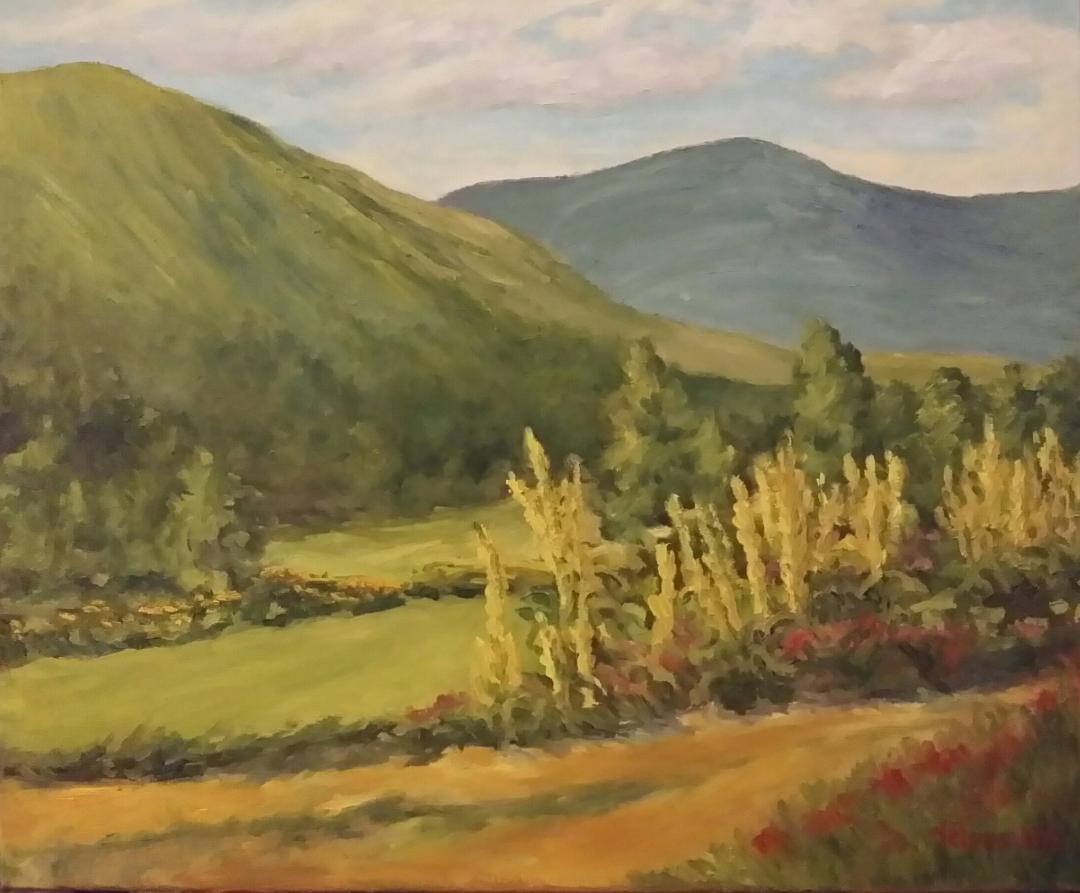 Click here to view Wild Mullein by Sharon Nelson