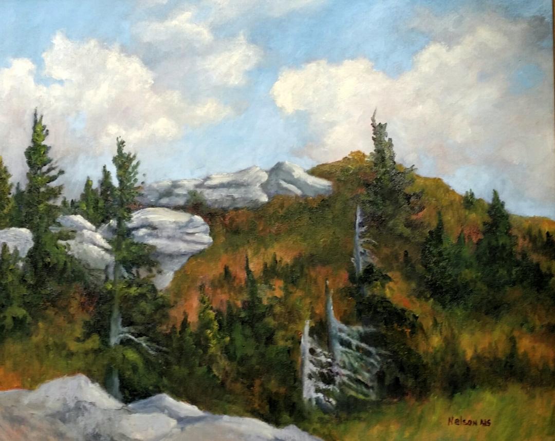 Click here to view Dolly Sods Splender by Sharon Nelson
