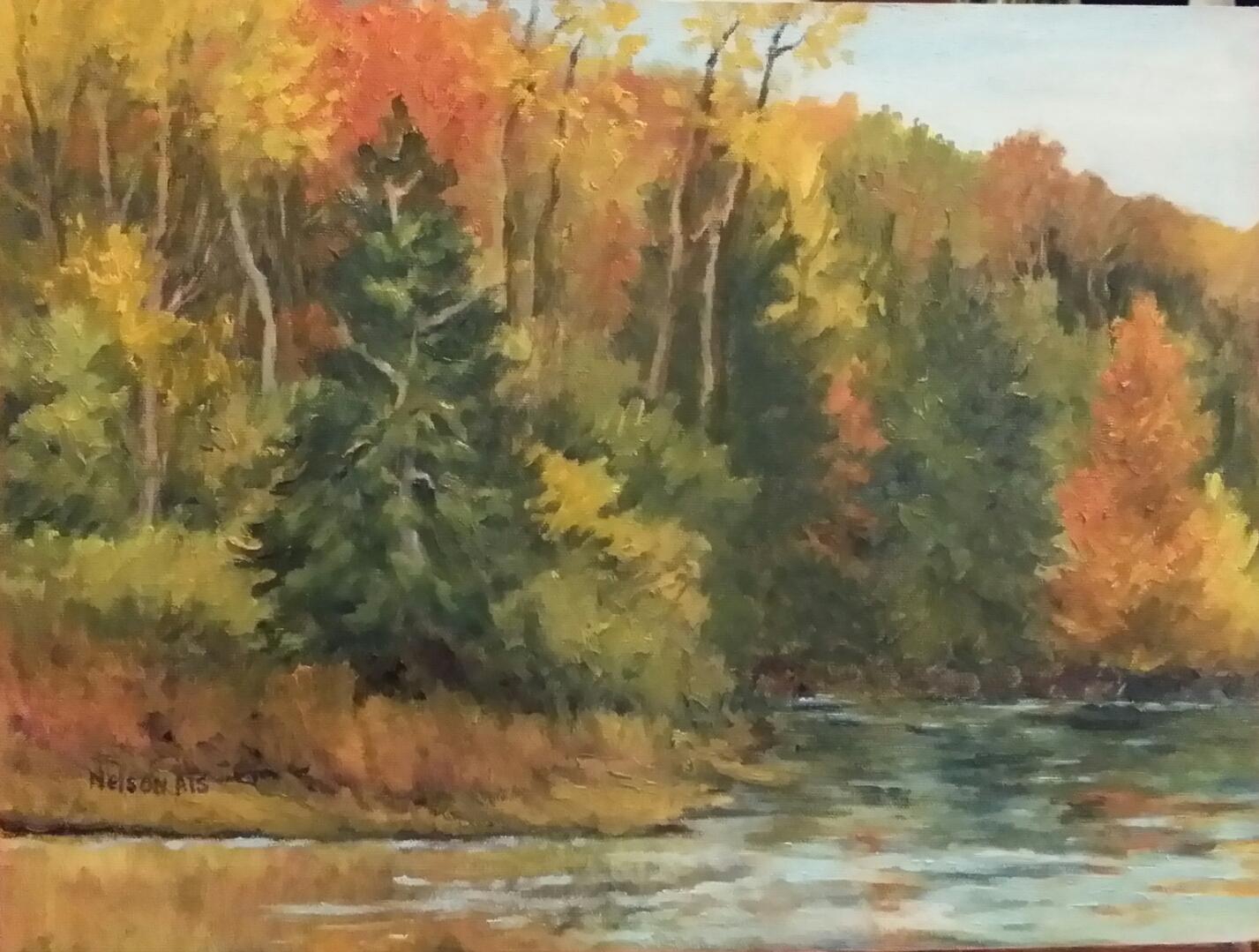 Three Cedar Cove by Sharon Nelson