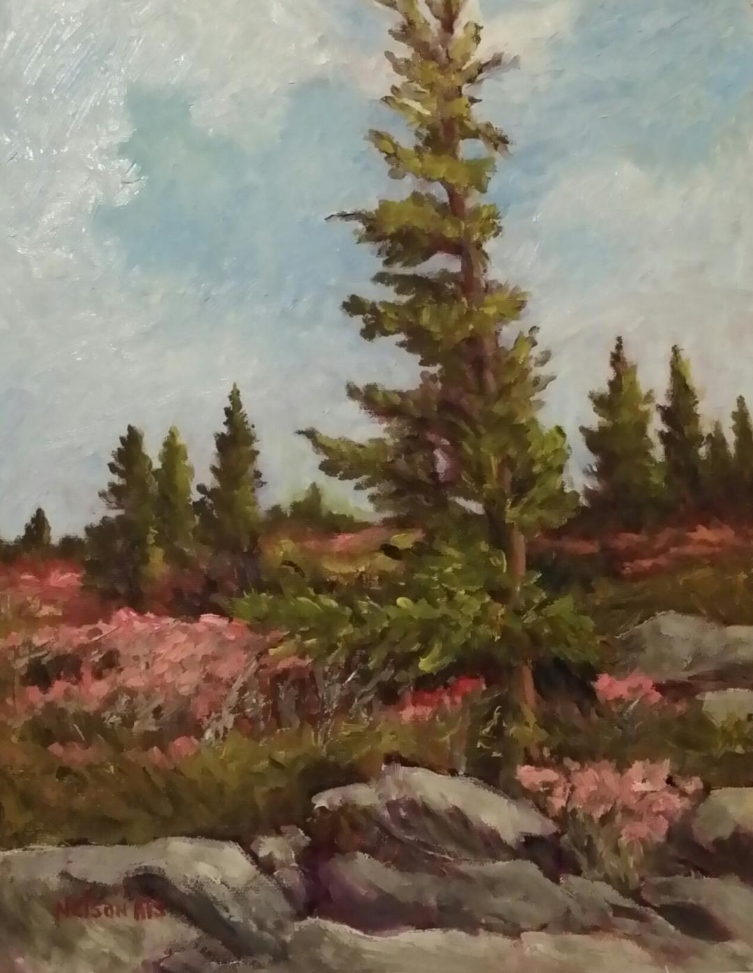 Finally Spring by Sharon Nelson